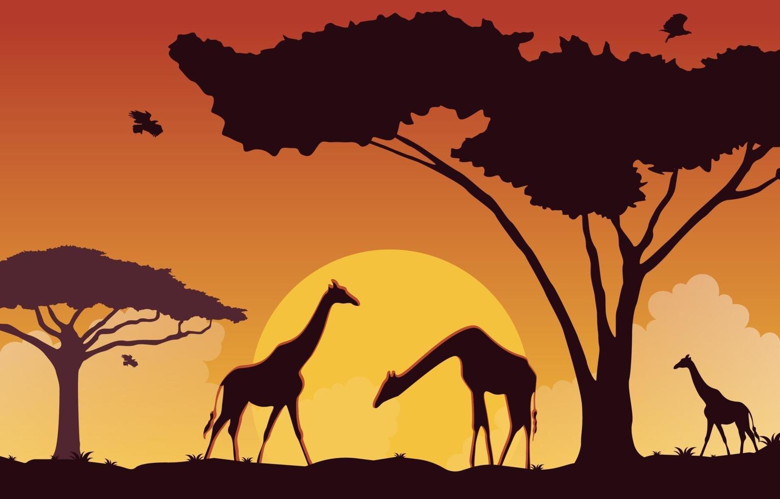 jirafas en el paisaje de la sabana africana al atardecer ilustración vector