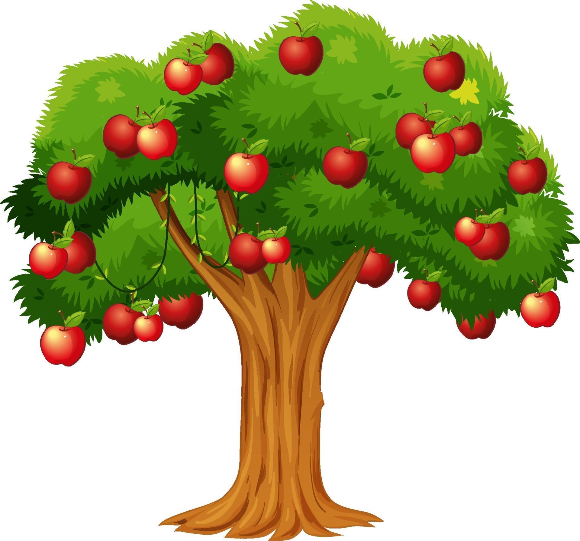 Apple tree isolated on white background Download Free Vectors Clipart Graphics & Vector Art