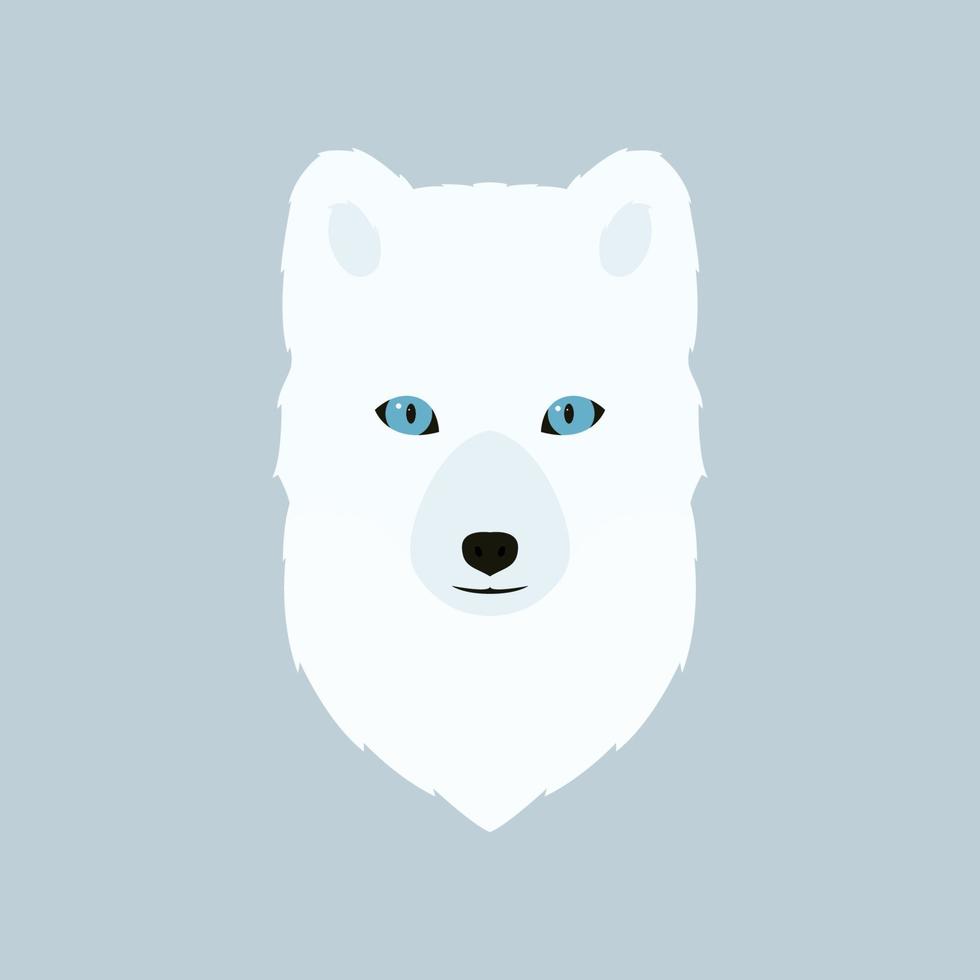 Portrait of the arctic fox. Vector illustration of a wild animal.