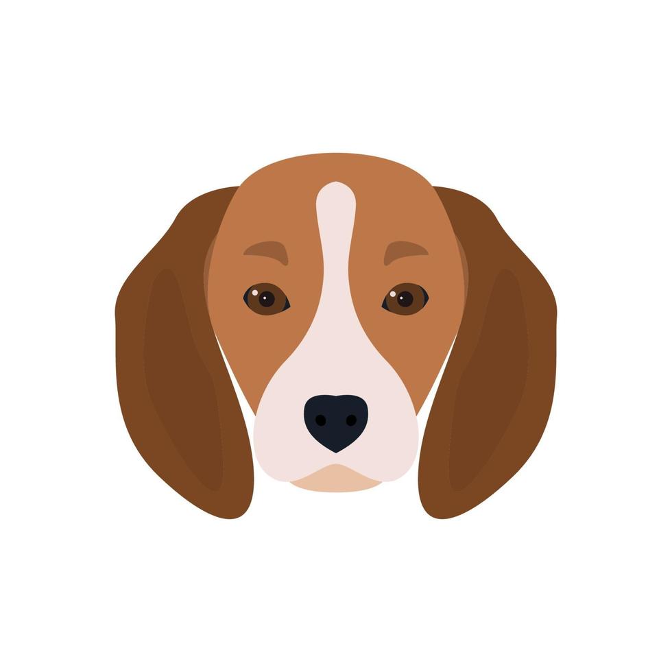 Lovely head bearded dog Beagle. Vector illustration.