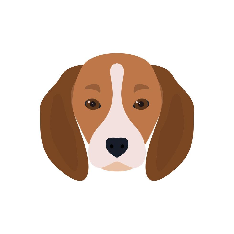 Lovely head bearded dog Beagle. Vector illustration.