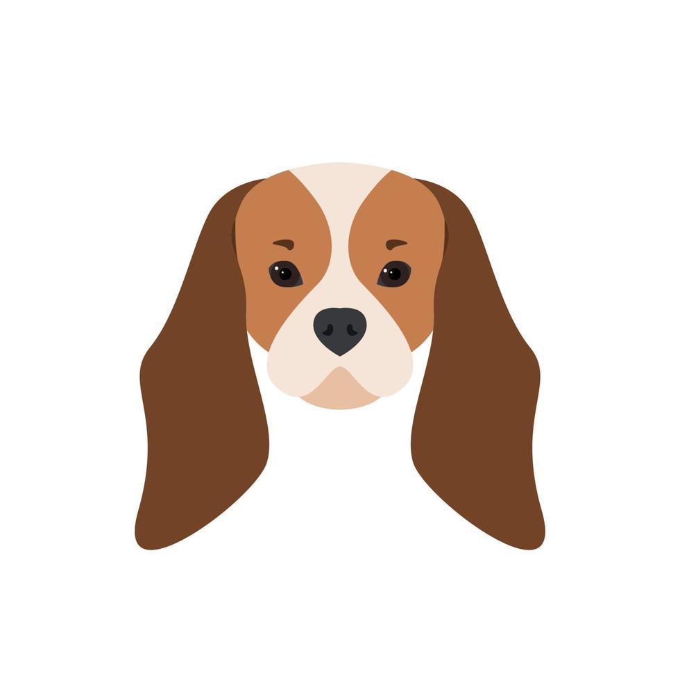 Portrait of Cavalier King Charles Spaniel. Dog illustration. vector