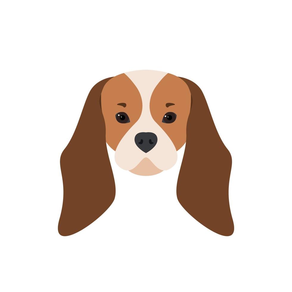 retrato del cavalier king charles spaniel. Ilustración de perro. vector