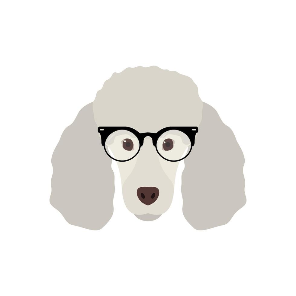 lindo perro caniche en gafas de moda. icono de perro simple aislado sobre fondo blanco. vector