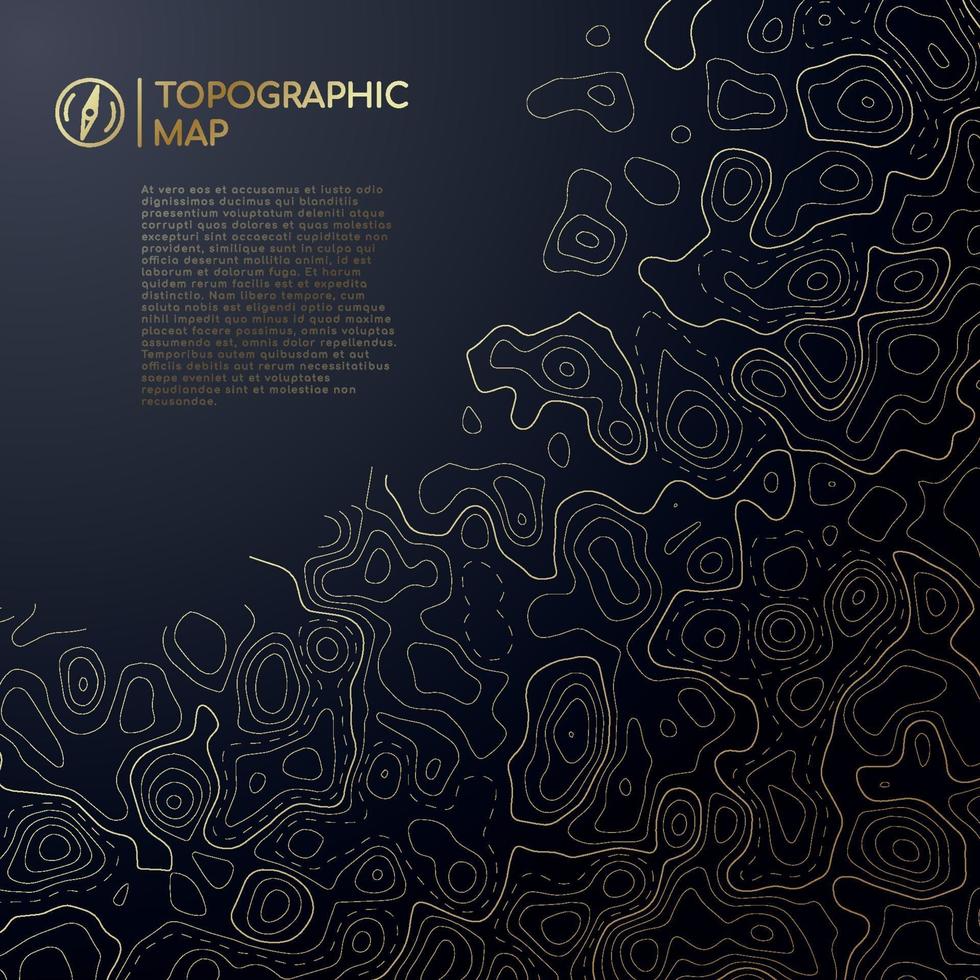 diseño de mapa topográfico abstracto con espacio para el texto. vector