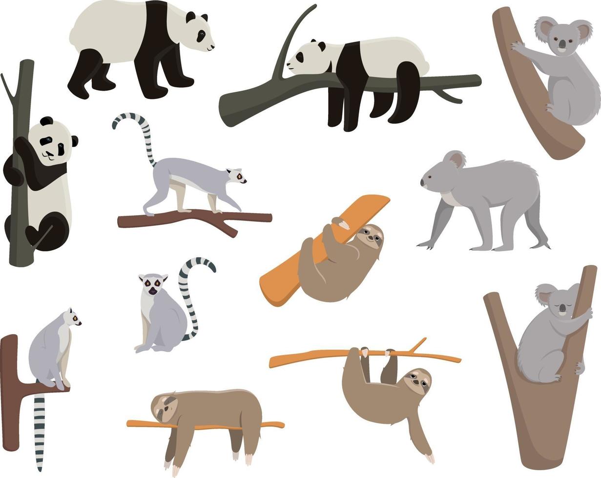 Set of animals living on trees. vector