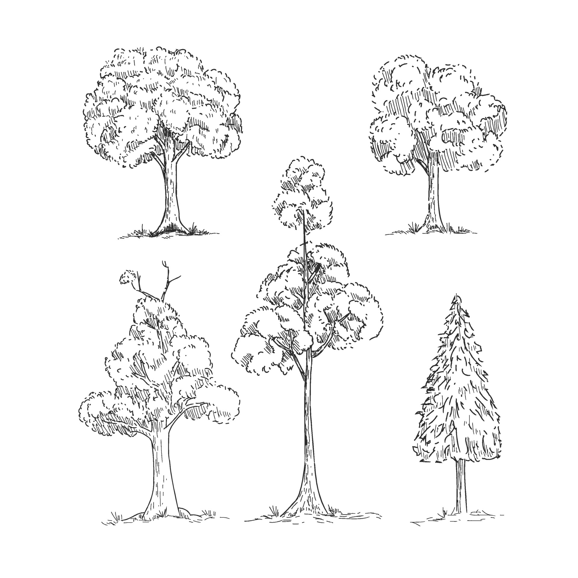 Tree Draw Vector Art, Icons, and Graphics for Free Download