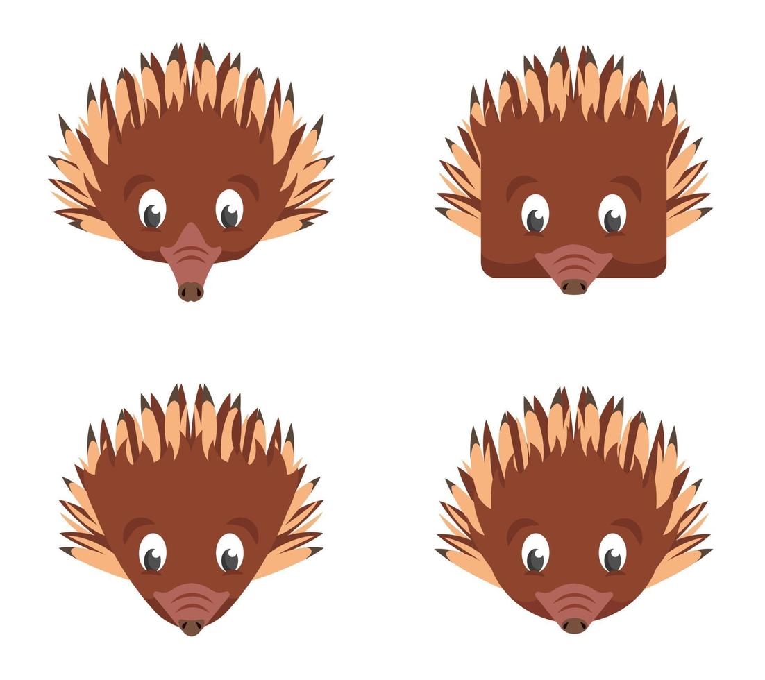 Set of cartoon echidnas. vector