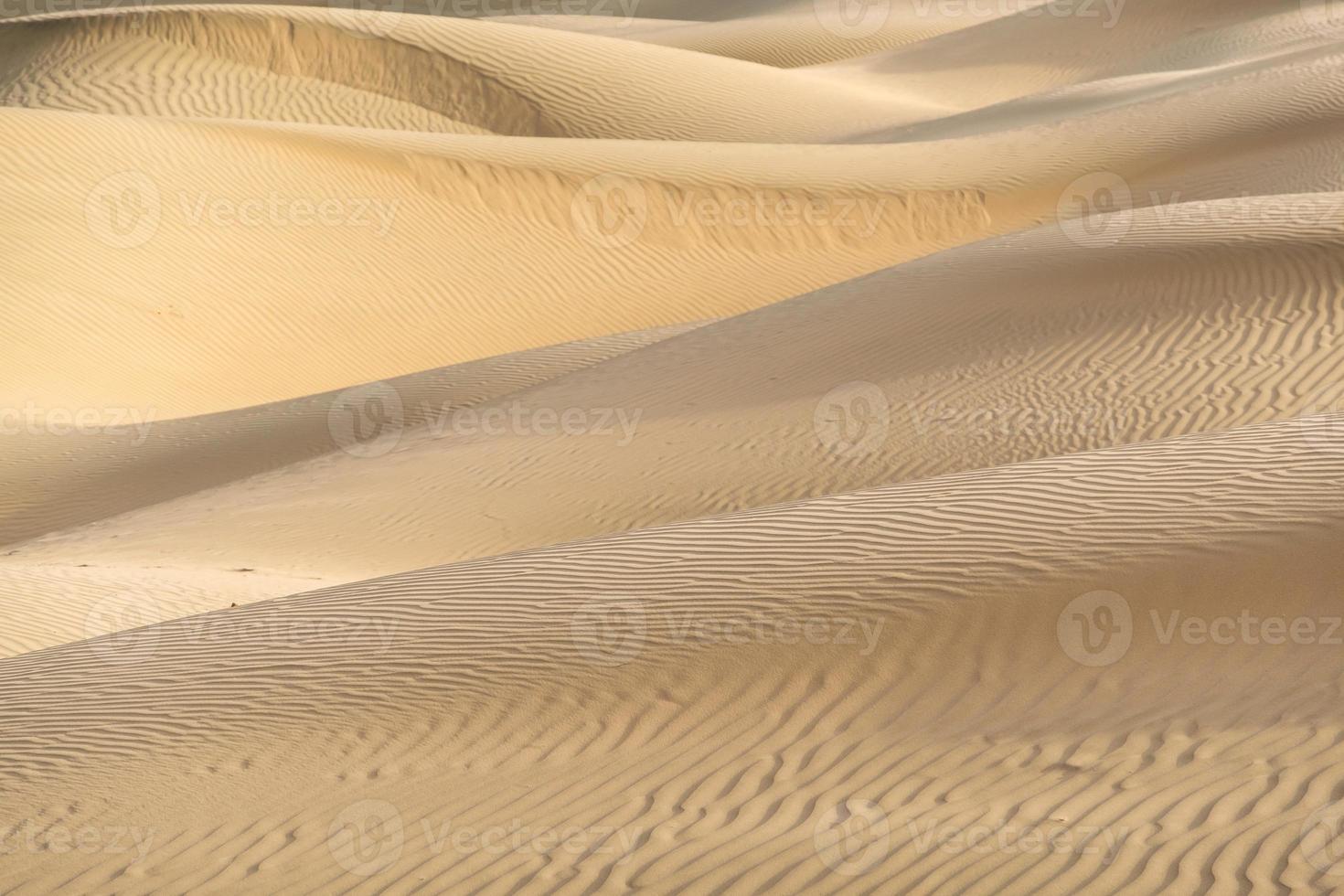 Beautiful sand dune in the Thar desert, Jaisalmer, Rajasthan, India photo