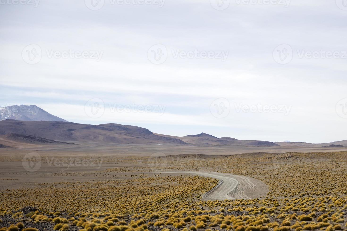 Laguna Colorada in Bolivia photo