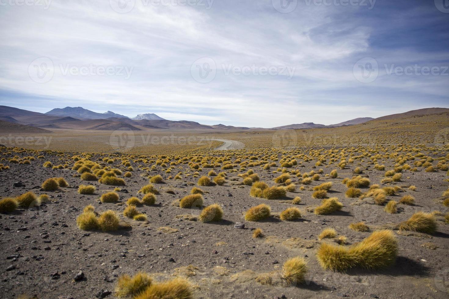 Laguna Colorada in Bolivia photo