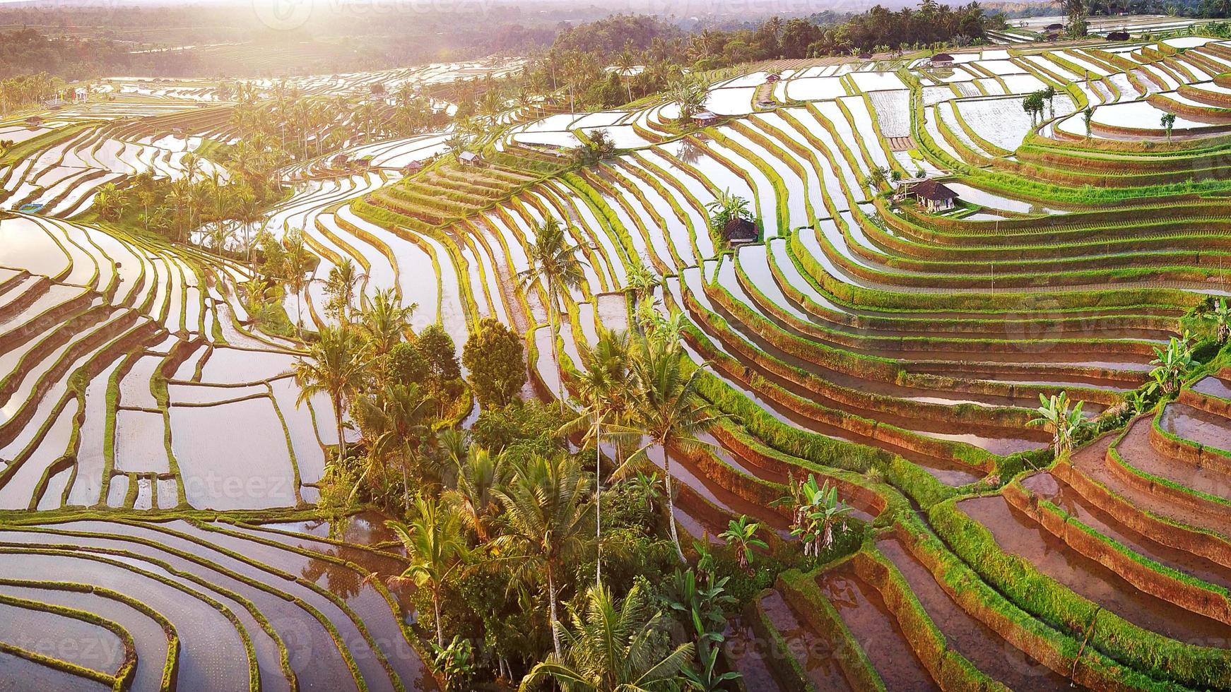 vista aérea de terrazas de arroz en bali foto