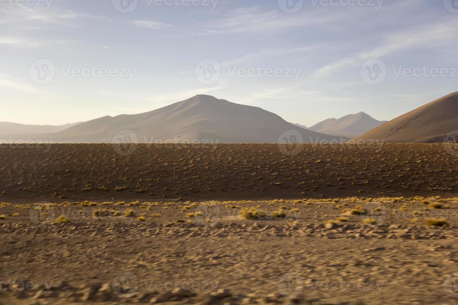 Dali desert in Bolivia photo