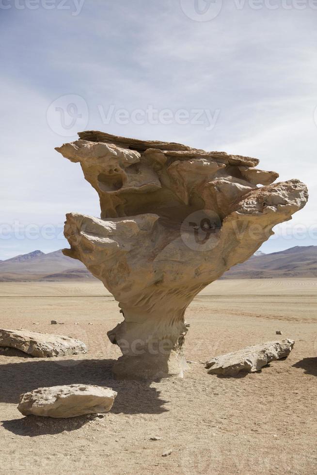 Eduardo Avaroa Andean Fauna National Reserve in Bolivia photo