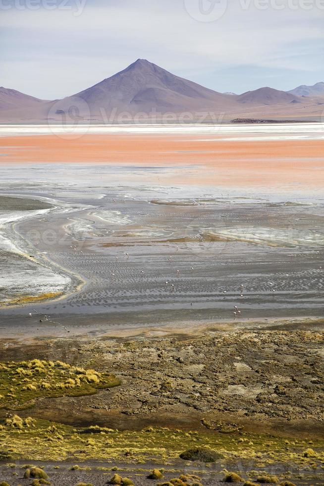 laguna colorada en bolivia foto