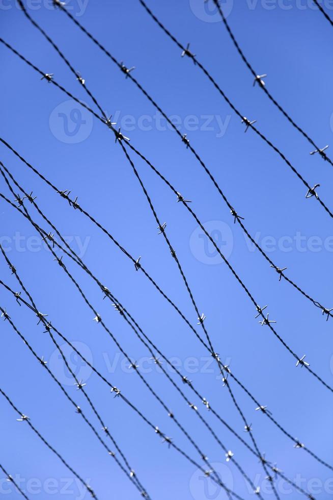 alambre de púas bajo un cielo azul foto