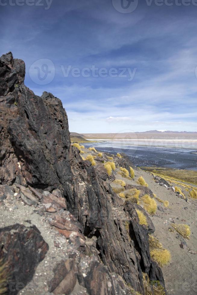 Laguna Colorada in Bolivia photo