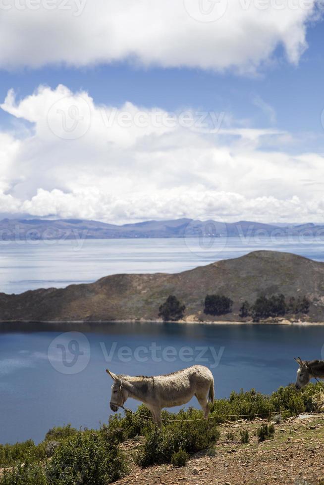 Isla del Sol on lake Titicaca in Bolivia photo