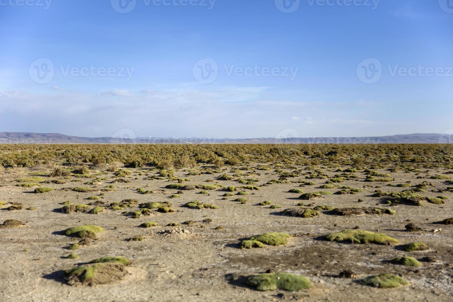 desierto de dalí en bolivia foto