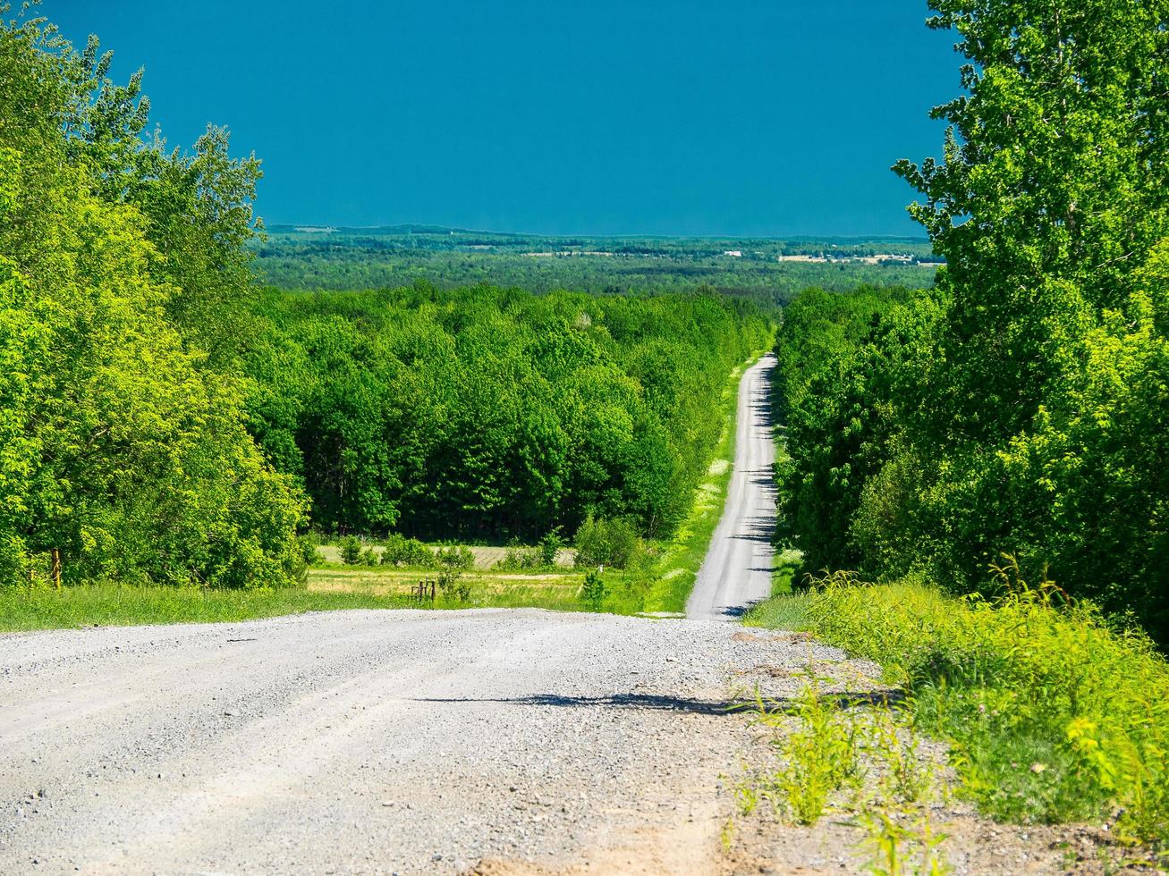 Camino rural de grava que atraviesa campos y bosques con cielo azul claro foto