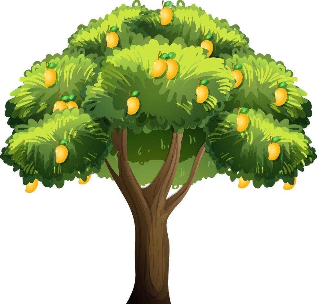 Yellow mango tree isolated on white background vector