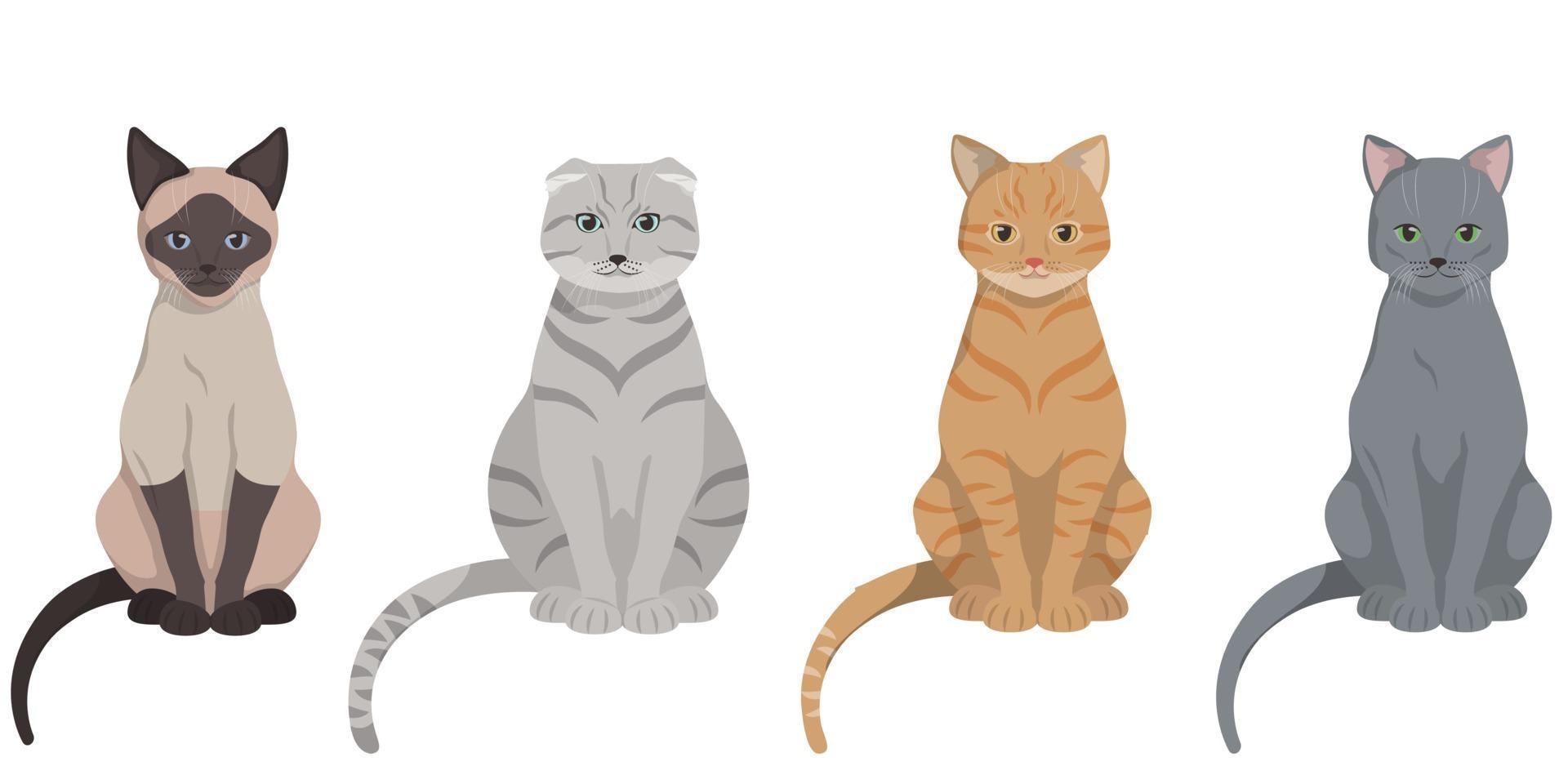 Set of sitting different cats. vector