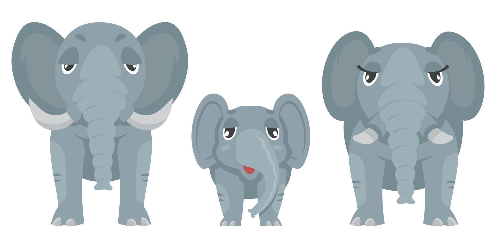 Elephant family front view. vector