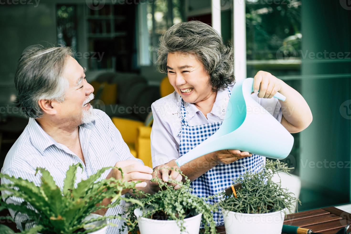 Elderly couple talking together and planting trees in pots photo