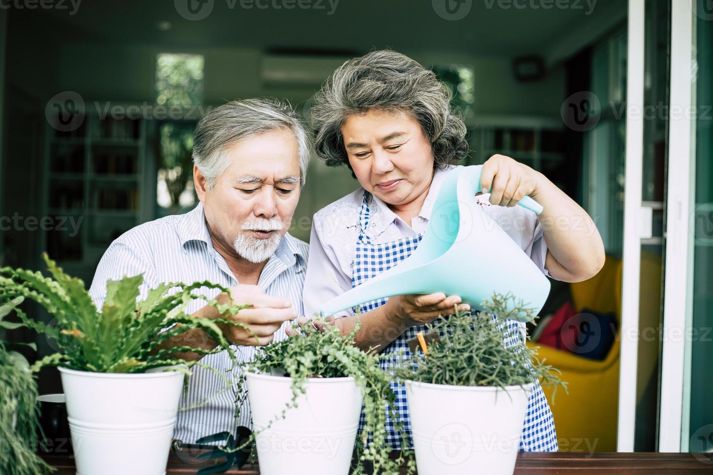 pareja de ancianos hablando juntos y plantando árboles en macetas foto