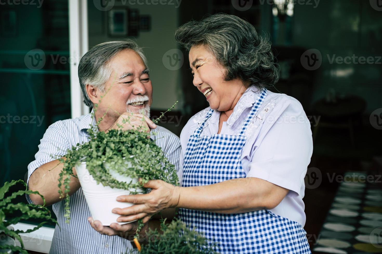 Elderly couple talking together and planting trees in pots photo