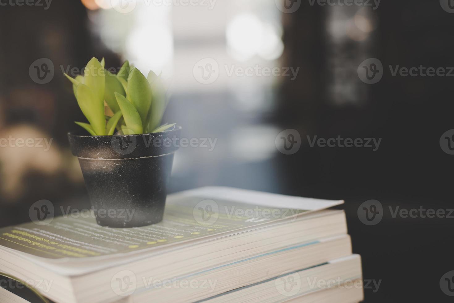 Books and cactus at cafe photo