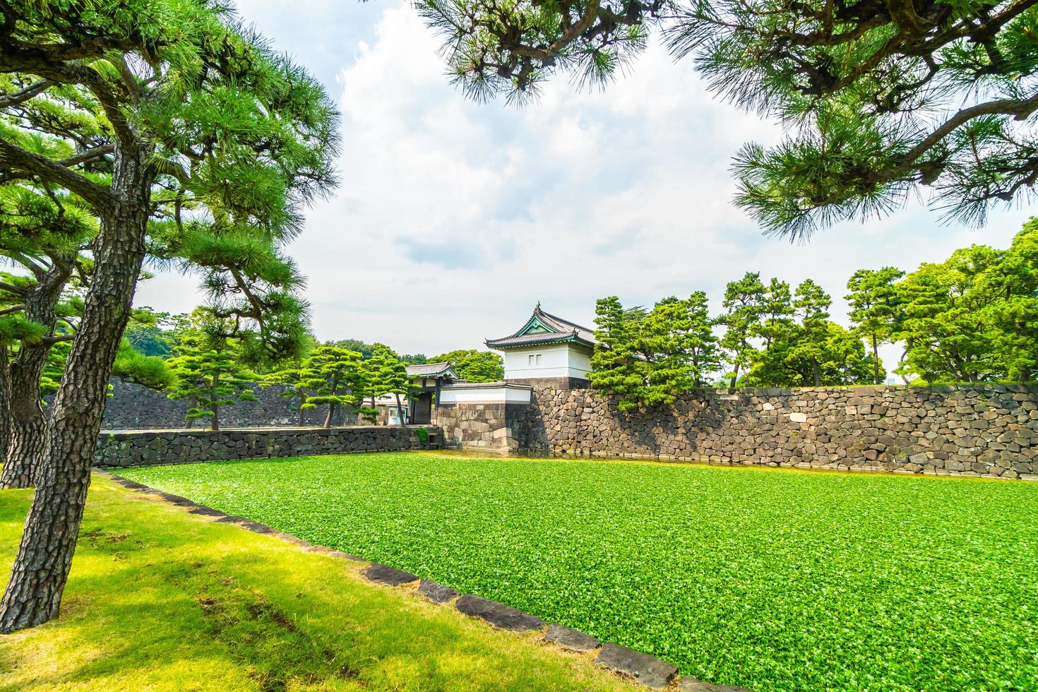 el castillo del palacio imperial en la ciudad de tokio, japón foto