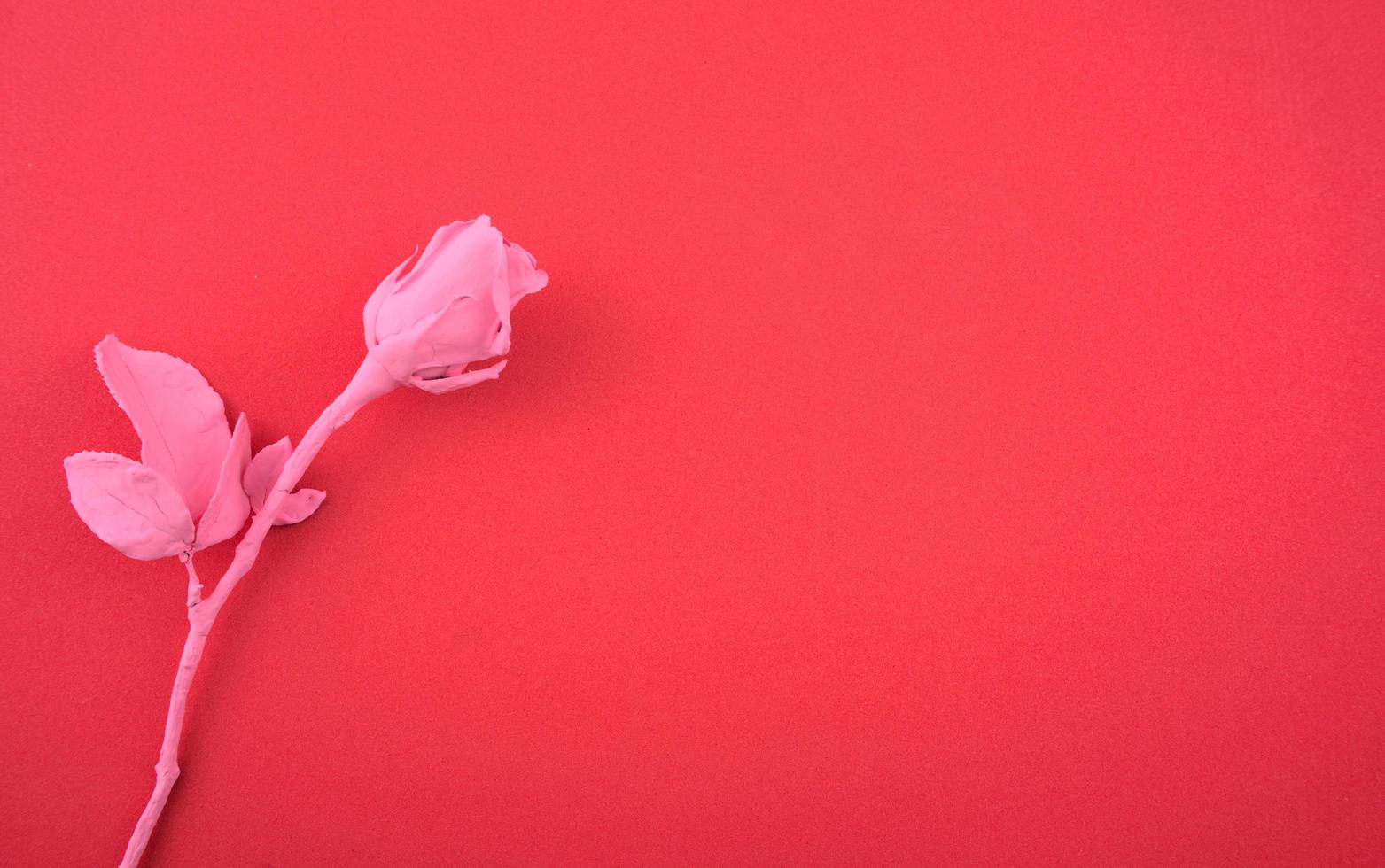 Rose coated, dripping with dry pink pastel acrylic ink, fluid color flat lay, isolated on dark red colorful abstract background photo