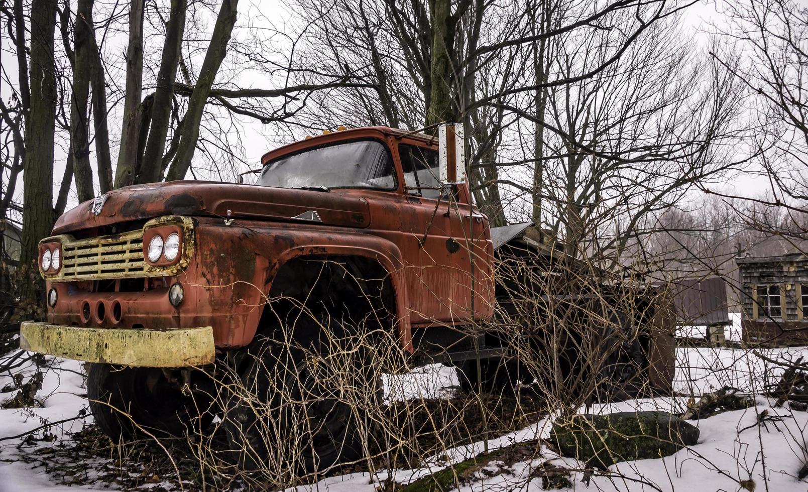 Rusty vintage Ford truck among trees in a snowy yard photo