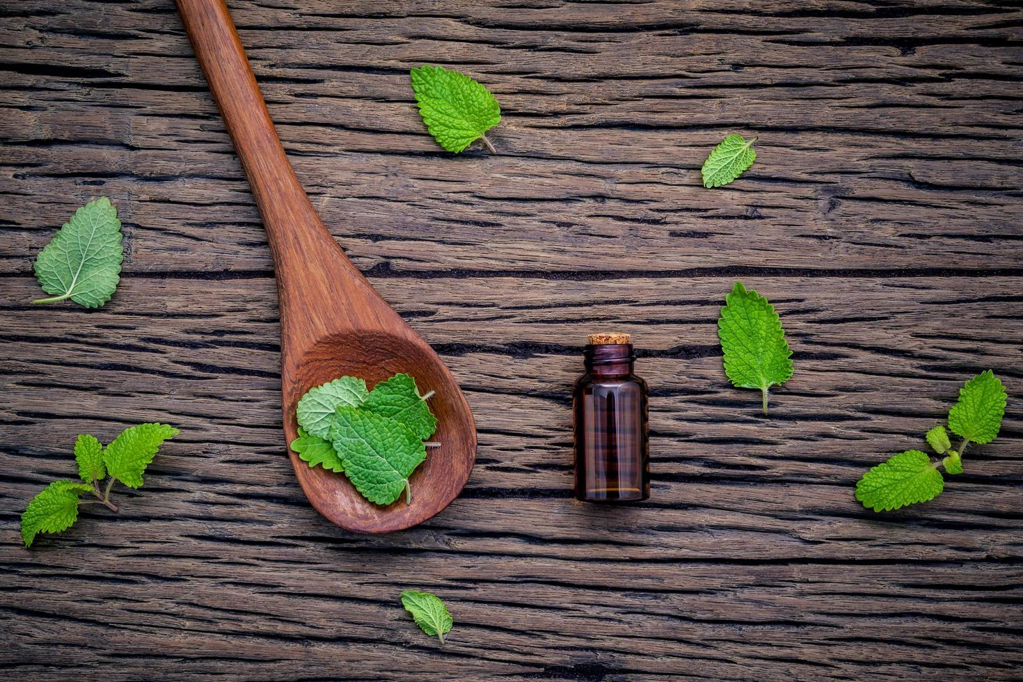 Lemon balm essential oil photo