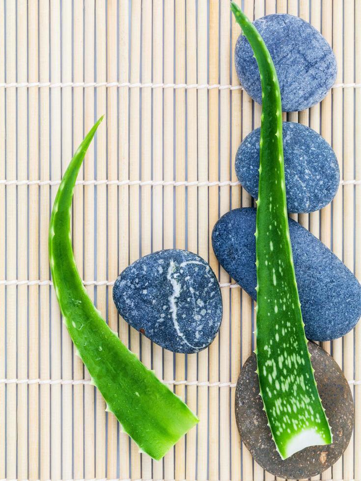 Aloe vera on stones photo