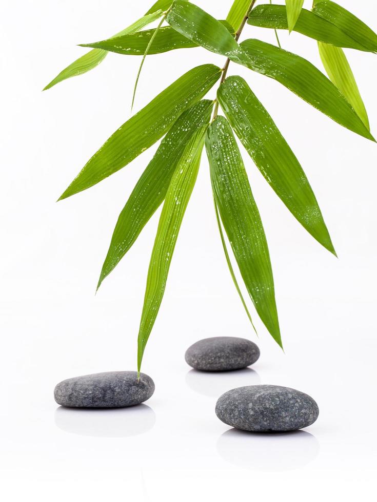 Bamboo and stones on white photo