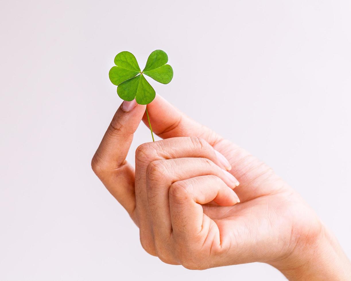 Hand holding a clover photo