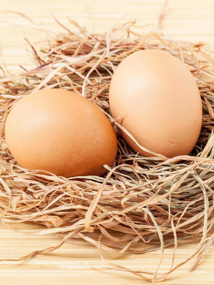 huevos en un nido foto