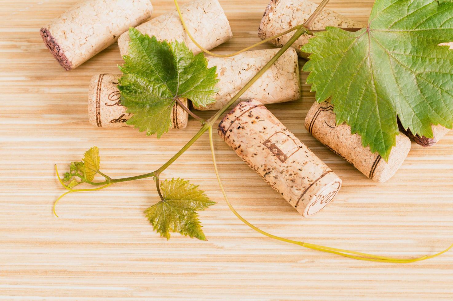 Wine corks and ivy photo