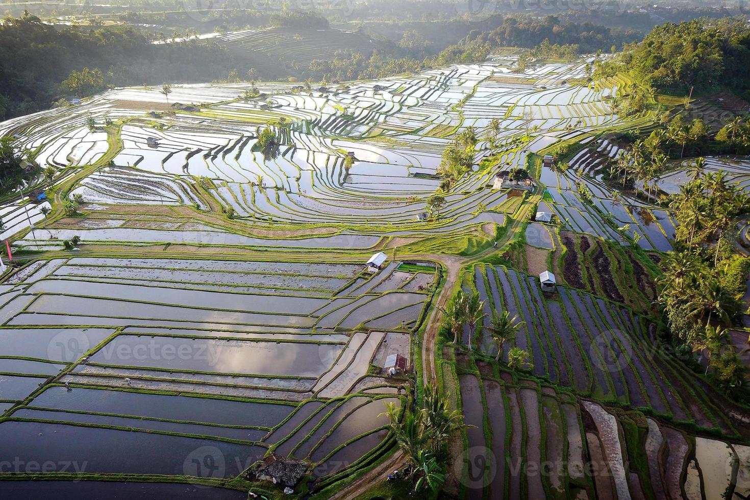 vista aérea de terrazas de arroz en bali foto