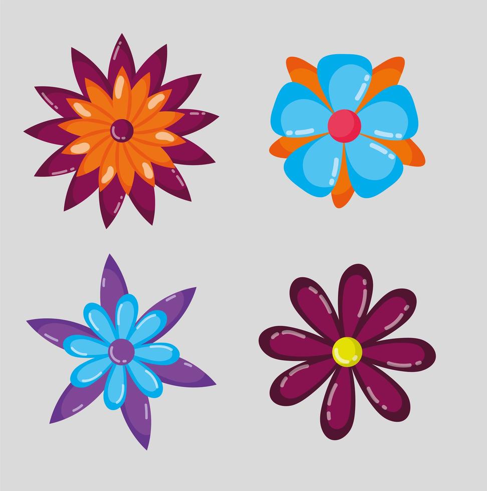 set of flowers decoration on gray background vector