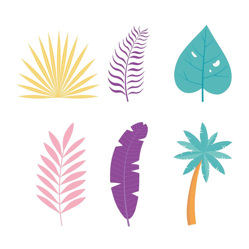 tropical leaf set vector