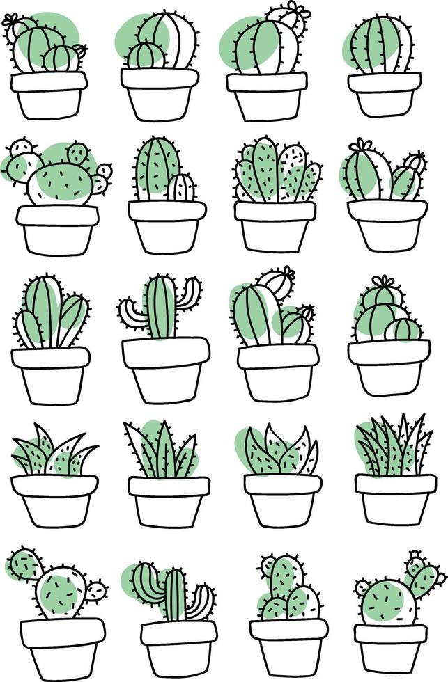 Cactuses in different shapes and sizes, illustration set vector