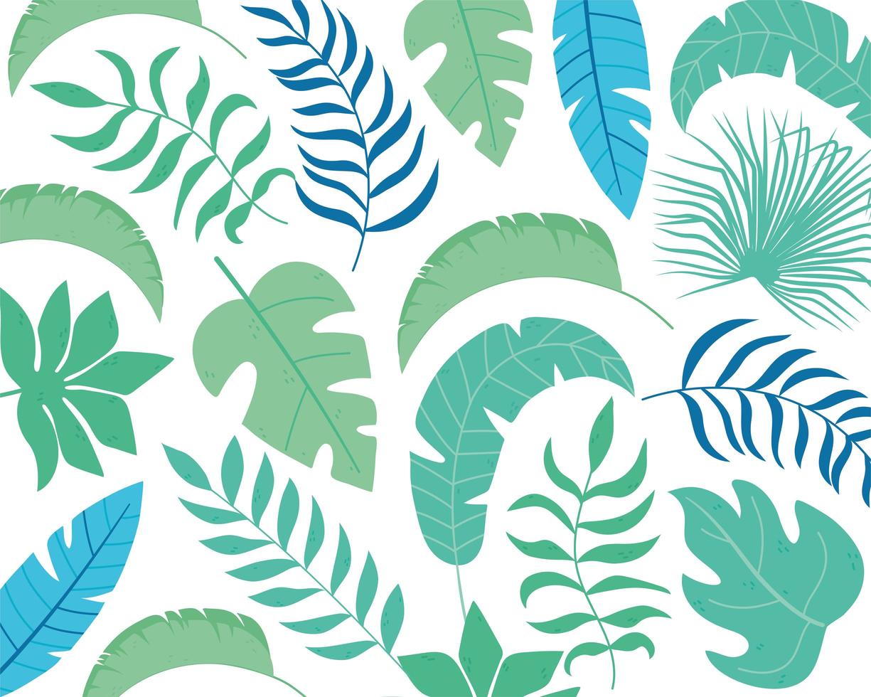 Summer tropical leaves background vector