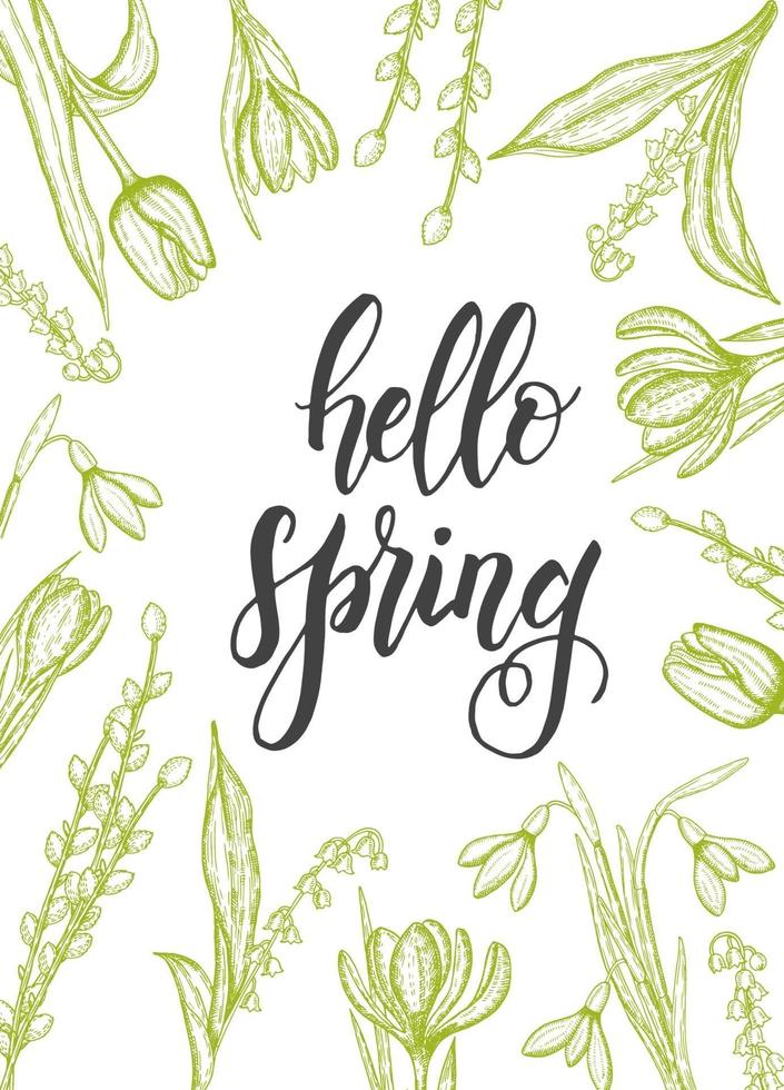 tarjeta de primavera con flores dibujadas a mano, lirios del valle, tulipán, sauce, campanilla blanca, azafrán - aislado en blanco. letras hechas a mano- hola primavera vector