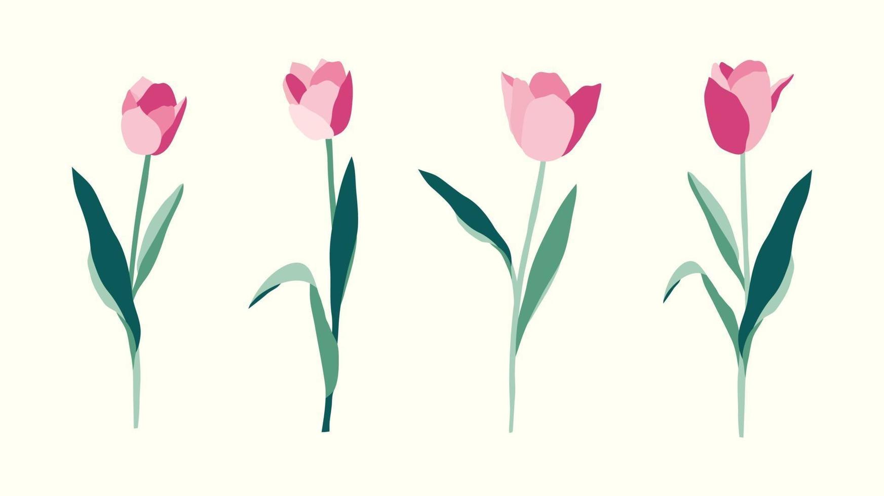 conjunto de flores de tulipanes ilustración dibujada a mano sobre fondo blanco vector