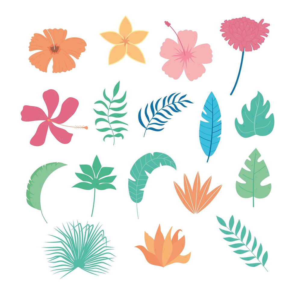 tropical leaves and flowers icon set vector