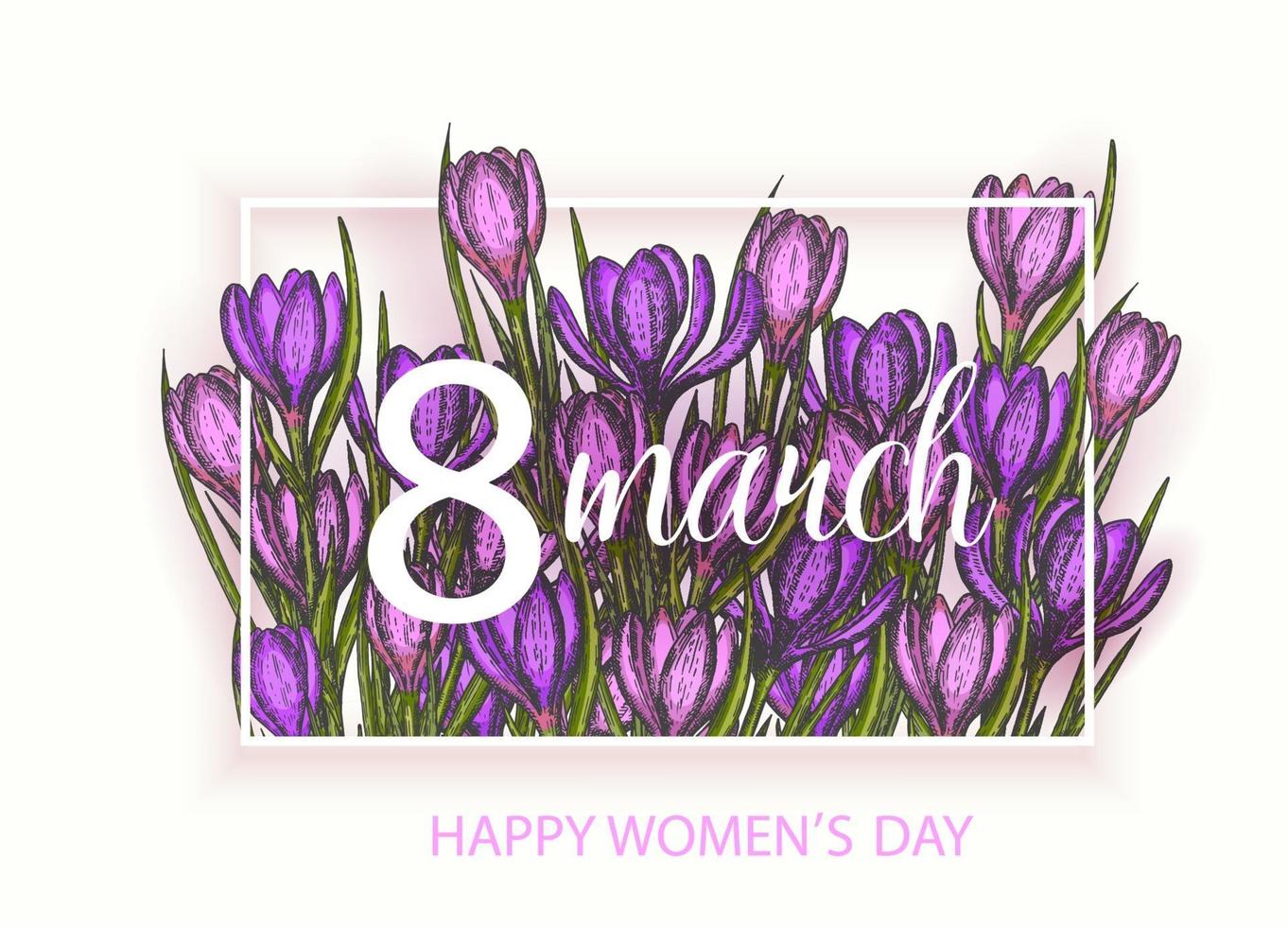 Happy Womens Day. background to the 8th of March Womens Day. Spring flowers hand drawn lilac and pink crocus. Vintage hand drawn set of crocus. vector