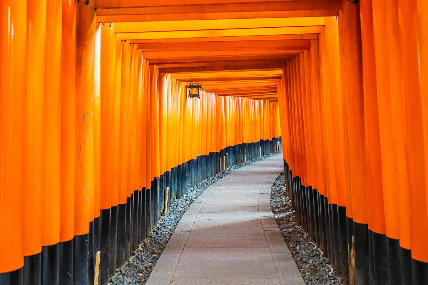 Puertas torii en el santuario Fushimi Inari en Kioto, Japón foto